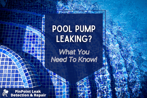 Pool Pump Leak