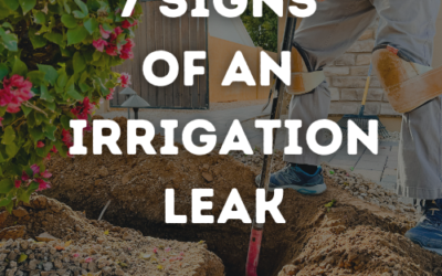 7 Signs of an Irrigation Leak