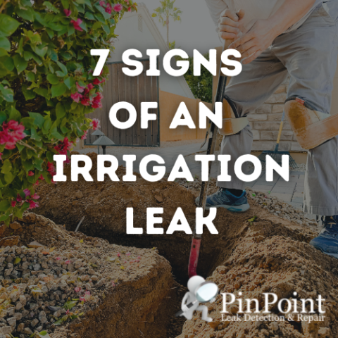 7 Signs of an Irrigation Leak - PinPoint Leak Detection & Repair